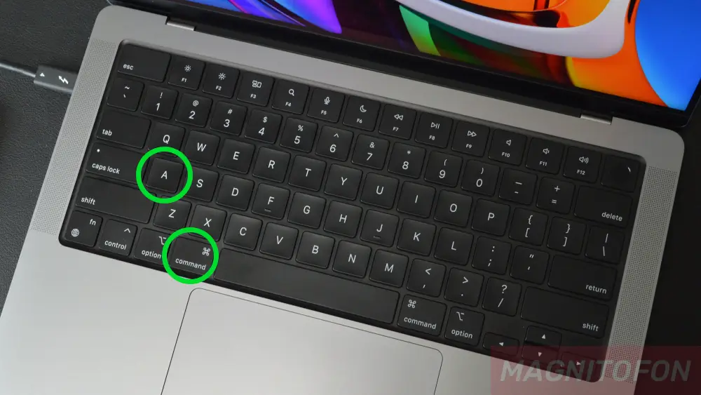 Какими клавишами выделить весь текст